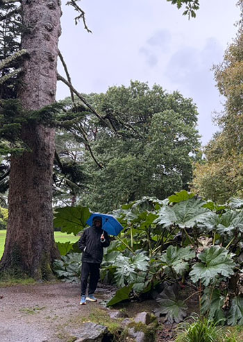 Muckross Gardens. Located within Killarney National Park