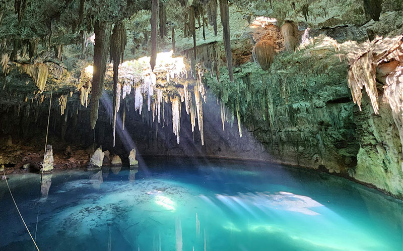 A view from inside a limestone cave looking out at a turquoise freshwater cenote surrounded by hanging tree roots and lush jungle greenery in the Yucatan Peninsula.