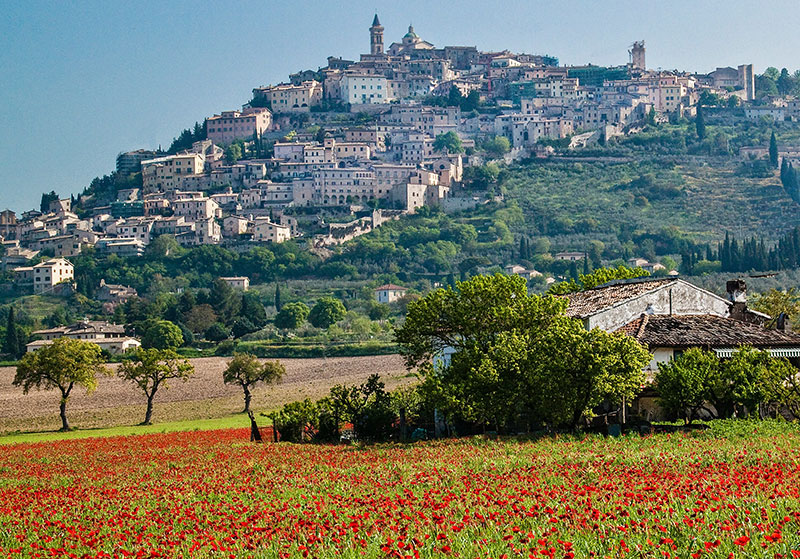 The medieval hilltop town of Trevi in Umbria, Italy, rising above green fields and red poppies.