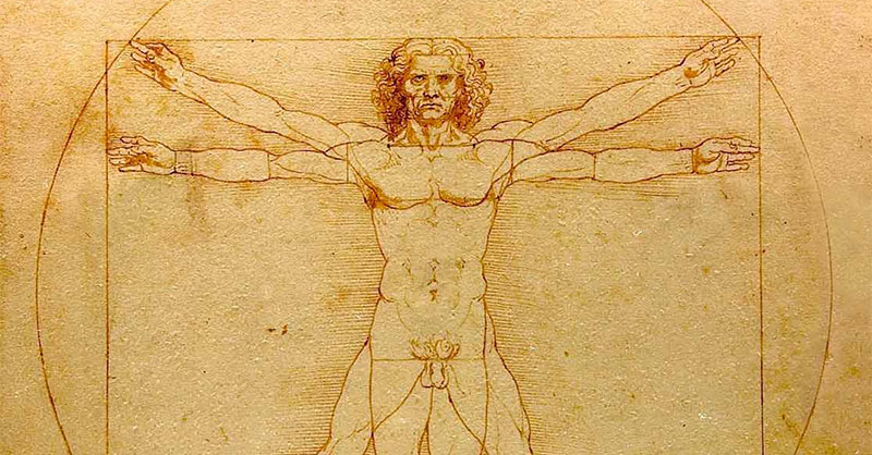 Leonardo da Vinci's famous Vitruvian Man sketch showing human proportions, located at the Gallerie dell'Accademia in Venice.