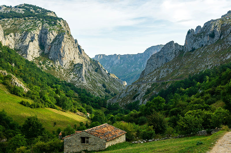 Old stone farm house and in the background Picos de Europa mountains.