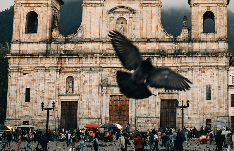 Plaza Bolivar in Bogota, Colombia, with the cathedral and government buildings, pigeons flying.