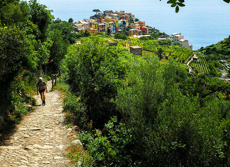 Hiking in Cinque Terre