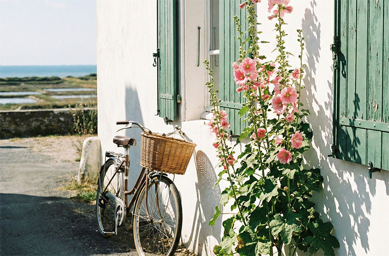 Bicycle leaning against a white house with hollyhocks on Île de Ré during the quiet season.