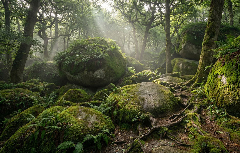 The moss-covered giant boulders of the Huelgoat forest in inland Brittany.