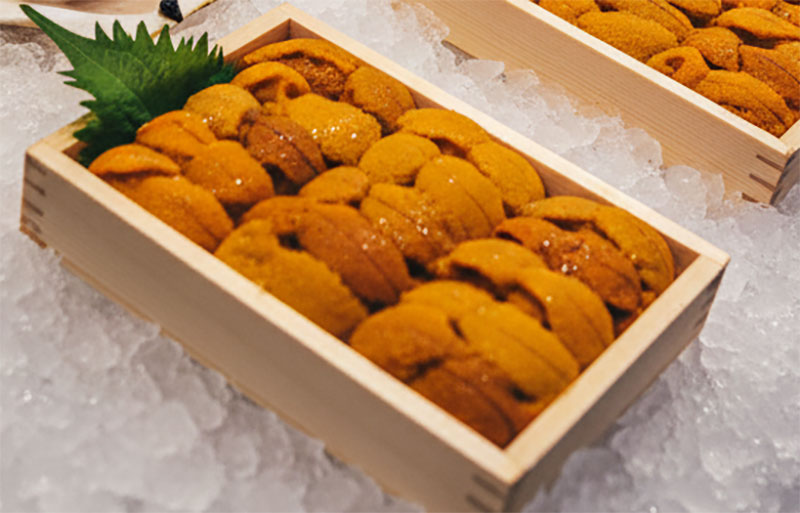 Fresh Uni sea urchin in wooden boxes on ice at Kuromon Market Osaka