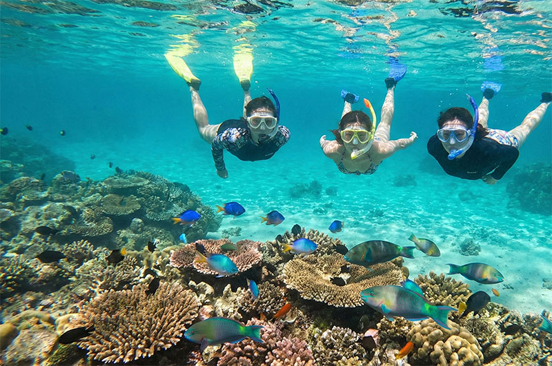 Underwater view of three snorkelers exploring a vibrant coral reef teeming with colorful fish in the clear turquoise waters off Minna Island, Okinawa.