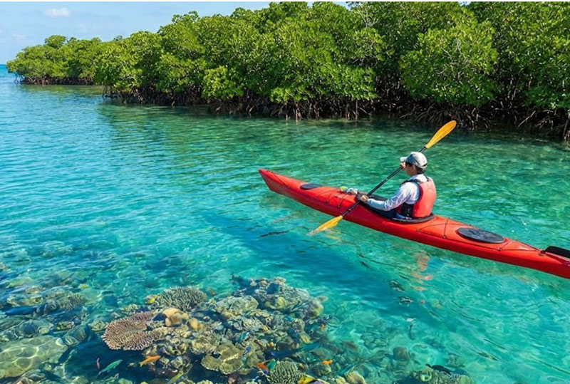 person in a red kayak paddling over crystal-clear turquoise water, with visible coral reefs below and lush green mangrove trees in the background in Okinawa, Japan.