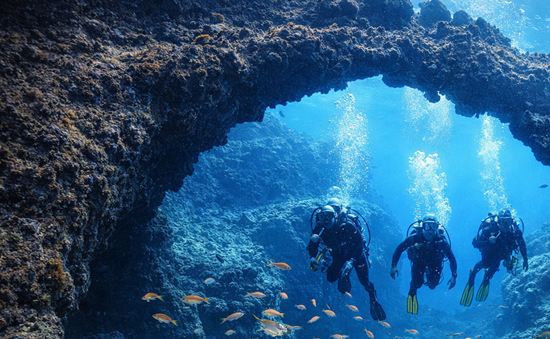 Scuba divers exploring volcanic lava arches and marine life in the Canary Islands off the coast of Spain