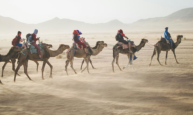 Four people riding camels in a single file line across a sandy desert landscape with hazy mountains in the background.
