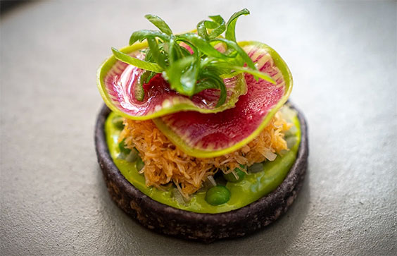 A gourmet dish at Lunario Restaurant featuring a vibrant beet-topped starter with fresh greens and edible flowers, served on a rustic dark plate.