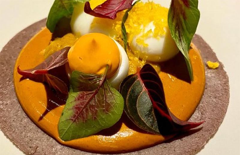 A close-up, artistic presentation of a gourmet dish from Pujol, featuring a central yellow sauce or egg yolk base topped with delicate greens and herbs, served on a dark textured plate.