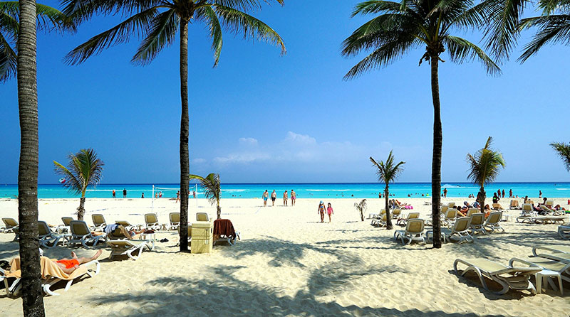 Palm trees on a white sand beach with turquoise water and lounge chairs under a clear blue sky in Playa del Carmen.