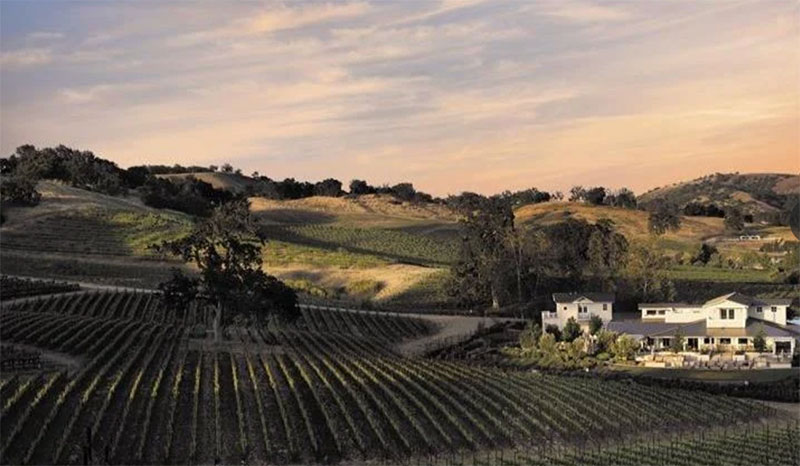 A wide scenic view of the JUSTIN Vineyards & Winery estate in Paso Robles featuring rolling hills of green vineyards under a soft sunset sky with the white estate buildings in the distance