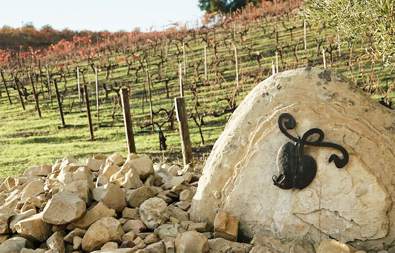 A stone entrance sign for Tablas Creek Vineyard set against a backdrop of rolling hillside vines in Paso Robles.