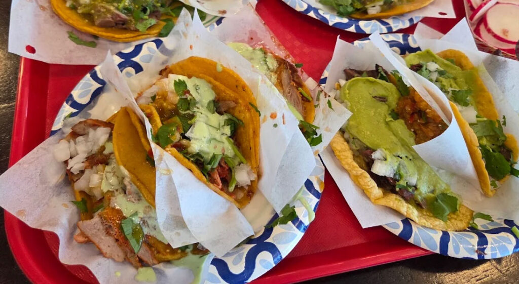 A close-up of three street tacos from Tacos El Gordo, topped with carne asada, fresh guacamole, onions, and cilantro on corn tortillas.