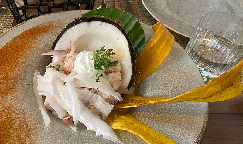 Coconut shrimp ceviche served inside a fresh coconut shell with long crispy plantain chips on a speckled plate at ALMA Restaurante