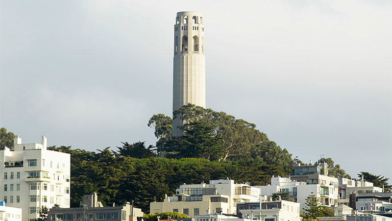 Coit Tower rising above the trees and residential buildings of Telegraph Hill in San Francisco