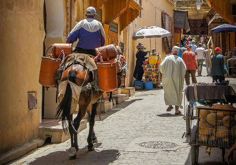 A man leading a working donkey carrying orange gas canisters through a narrow, crowded street in the Fes medina.