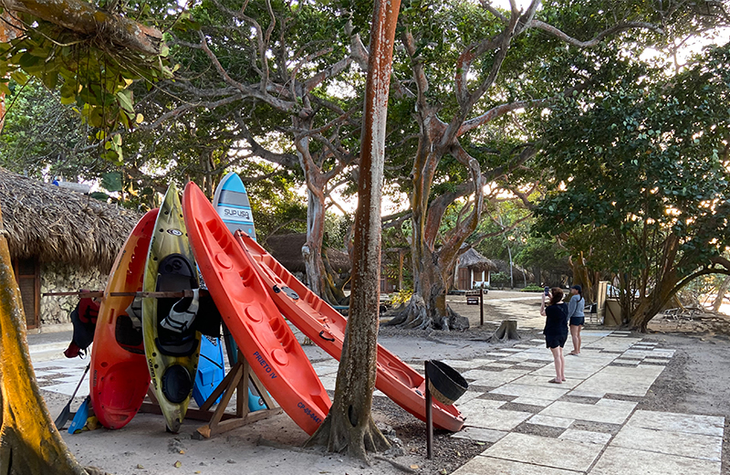 Kayaks leaning against trees on the shaded sandy paths of Hotel San Pedro de Majagua
