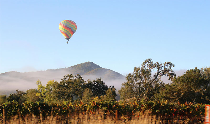 A colorful hot air balloon flying over fog-covered rolling hills and vineyards in Napa Valley.