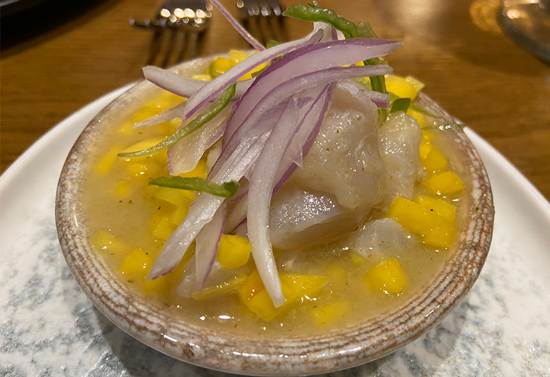 Close up of fresh fish ceviche topped with diced yellow mango and sliced red onions in a shallow rustic bowl at Restaurante Cande