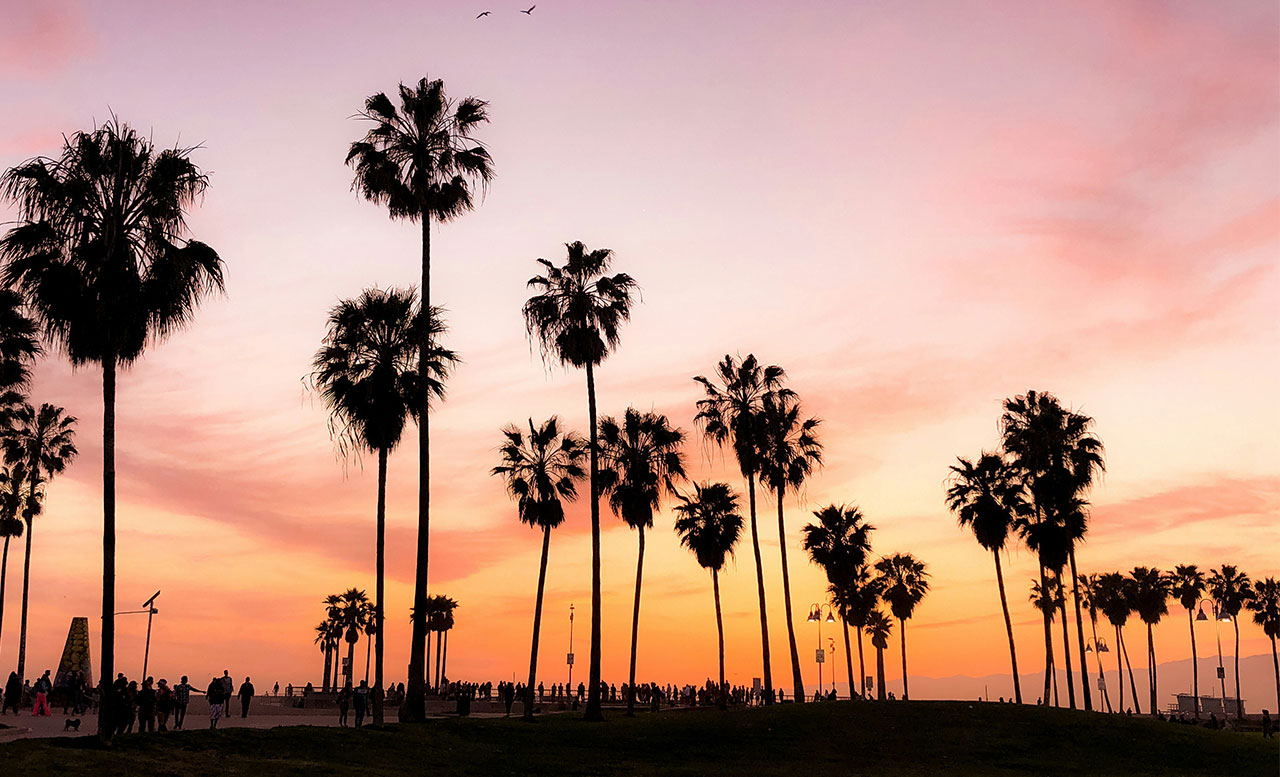 Silhouettes of tall palm trees and people walking along Venice Beach against a vibrant orange and pink sunset sky.