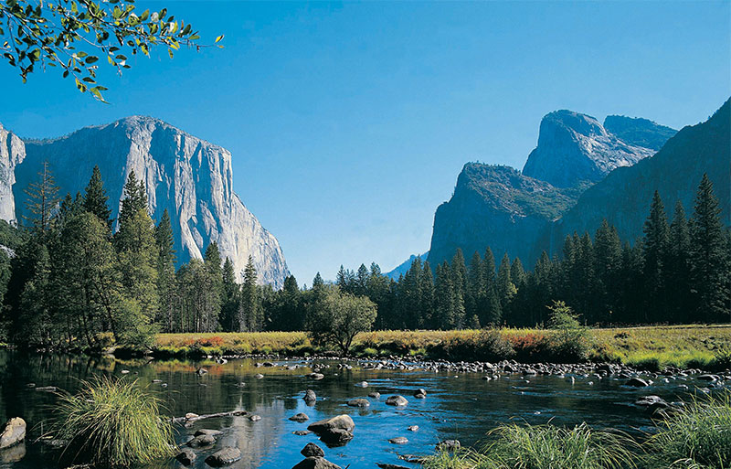A wide view of Yosemite Valley featuring the granite cliffs of El Capitan and Half Dome towering over a river and pine forest.