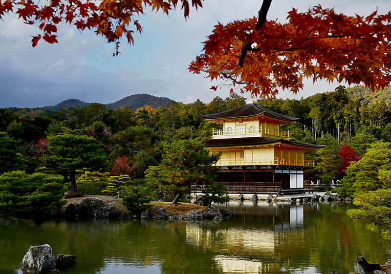 A striking view of the Golden Pavilion (Kinkaku-ji) in Kyoto reflected in the mirror pond, framed by vibrant red and orange maple leaves during the peak of autumn.