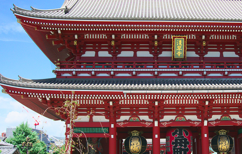 A wide-angle shot of the grand wooden Torii gate at the entrance of Meiji Jingu Shrine in Tokyo, surrounded by a dense, lush forest with a wide gravel pathway leading into the sanctuary.