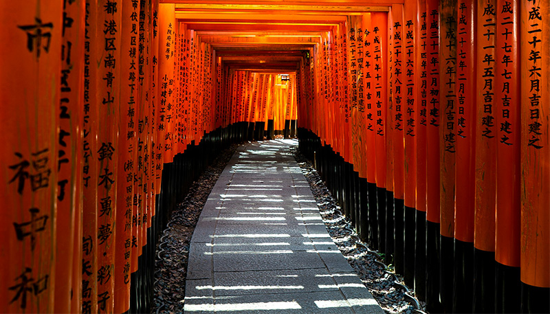 A long perspective shot of the Senbon Torii (thousand vermilion gates) at Fushimi Inari Taisha in Kyoto, showing the path curving into the distance with sunlight filtering through the wooden pillars and casting shadows across the stone walkway.