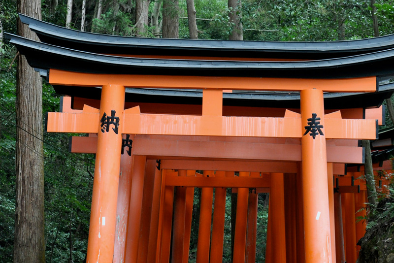 A close-up perspective of a single vermilion torii gate at Fushimi Inari Taisha, showing the intricate black wood joinery and traditional Japanese calligraphy carved into the pillar, with the lush green forest of Mount Inari blurred in the background.
