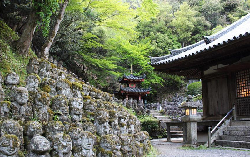 A serene view of the moss-covered grounds at Giōji Temple in Kyoto, featuring slender maple trees, lush green foliage, and a traditional thatched-roof building partially visible through the dense forest.