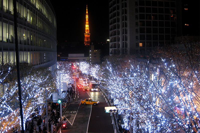 A row of trees lining a city street in Tokyo, illuminated with thousands of small, sparkling white fairy lights during winter.