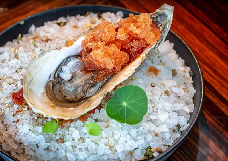A close-up shot of a gourmet appetizer featuring a seared scallop served in its shell, garnished with a crisp orange topping and a single green leaf, presented on a bed of white decorative stones.