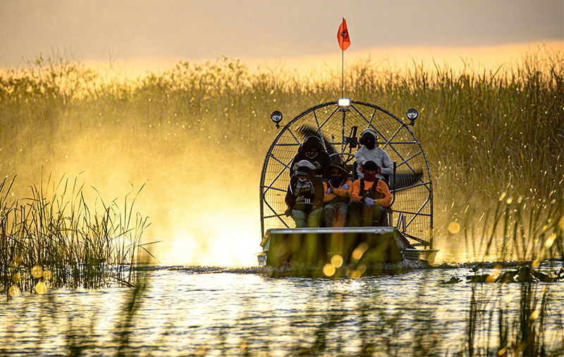 A bright blue airboat with a large rear fan gliding through the shallow, grassy wetlands of the Florida Everglades under a wide-open sky.
