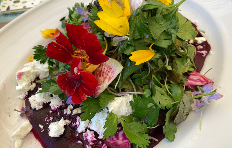 A vibrant beet salad from Flora Farms, featuring roasted red and golden beet wedges topped with creamy goat cheese, fresh garden greens, and a light vinaigrette, served on a rustic ceramic plate.