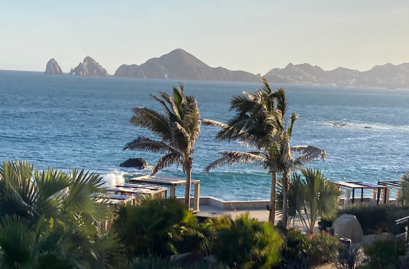 view from a high vantage point at the Thompson Hotel showing the white Mediterranean-style architecture of Cabo San Lucas resorts, lush green palm trees, and the calm blue waters of the bay leading toward the rugged rock formations of Land's End.