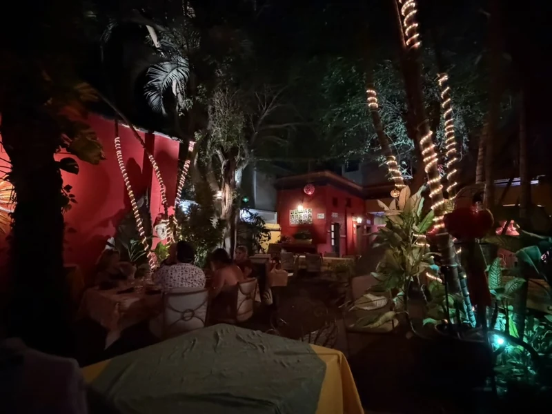 Courtyard dining tables beneath trees and string lights at Topolo in Mazatlán.